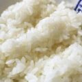 2024 08 28 Rice Sendaikko